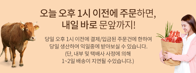 오늘 오후 1시 이전에 주문하면, 내일 바로 문앞까지!